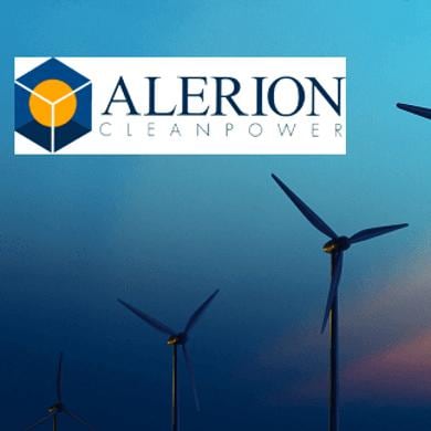 Alerion borsa shop